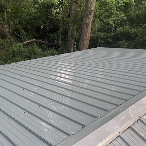 Why Roof Cleaning Is Important for Alabama Homes