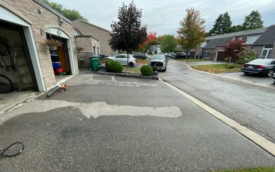 Why Driveways Turn Dark During Rainy Seasons